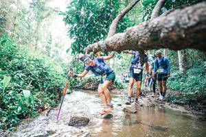 BIB: 
                            <button type="button" onclick="openModal(25372310)" class="btn btn-primary btn-sm float-right btn-popup" data-toggle="modal" data-target=".modal-high-quality">
                        <i class="fas fa-shopping-cart"></i> Add to Cart
                    </button>
                                            <button type="button" onclick="isThisMe(25372310, true)" class="btn btn-success btn-sm float-right btn-popup btn-isme hidden" data-toggle="tooltip" data-placement="bottom" title="นี่คือรูปของคุณใช่ไหม คลิกที่นี่เพื่อเอาเข้าอัลบั้ม">
                        <i class="fas fa-plus"></i> Add to album
                    </button>
                    <button type="button" onclick="isThisMe(25372310, false)" class="btn btn-warning btn-sm float-right btn-popup btn-isnotme hidden">
                        <i class="fas fa-ban"></i> Remove from album
                    </button>